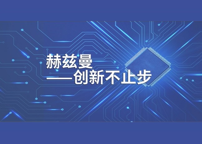 XGN99真空高壓開關(guān)柜「赫茲曼電力」